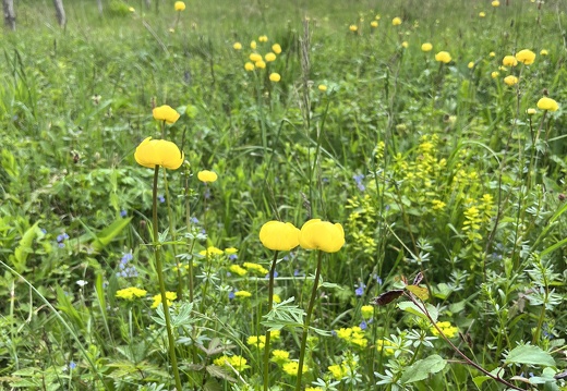 23-05-24 14-32-30 5636